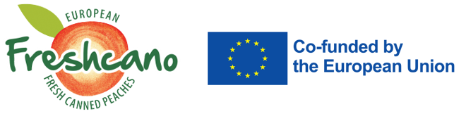 logo-flag-en